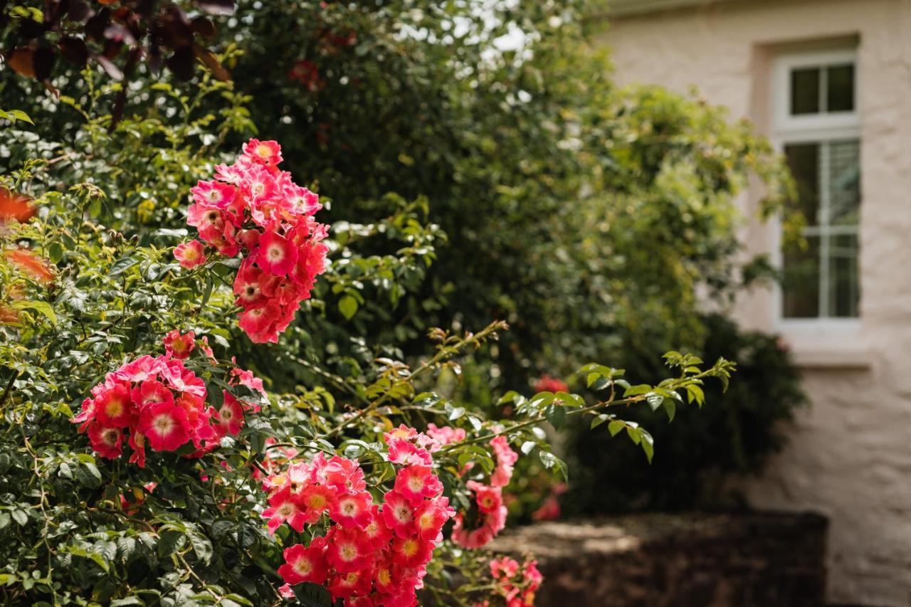 Bed and Breakfast Stoodleigh Court Coach House Тивертон Экстерьер фото