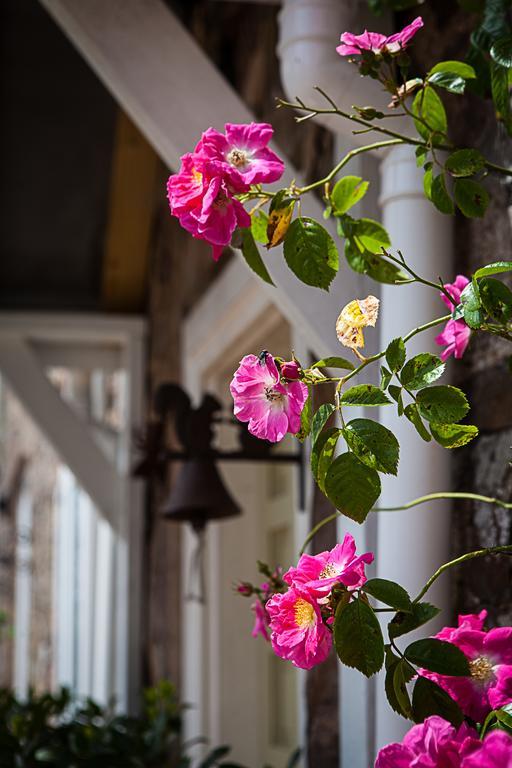 Bed and Breakfast Stoodleigh Court Coach House Тивертон Экстерьер фото